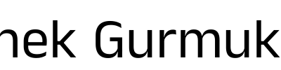 Anek Gurmukhi