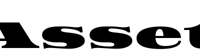 Asset