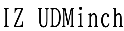 BIZ UDMincho