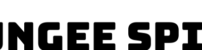 Bungee Spice