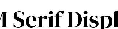 DM Serif Display