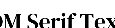 DM Serif Text