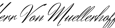 Herr Von Muellerhoff
