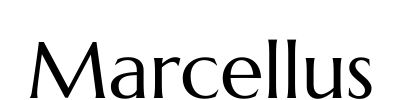 Marcellus
