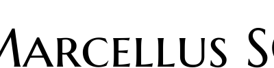 Marcellus SC