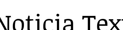 Noticia Text