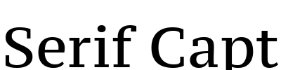 PT Serif Caption