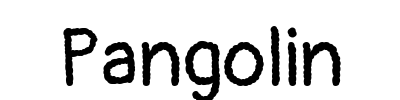 Pangolin