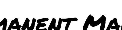 Permanent Marker