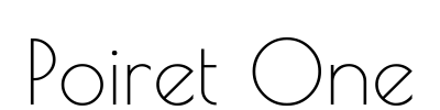 Poiret One
