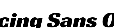 Racing Sans One